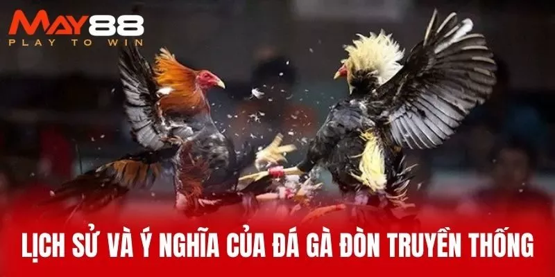 Lịch sử và ý nghĩa của đá gà đòn truyền thống
