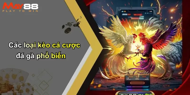 Các loại kèo cá cược đá gà phổ biến