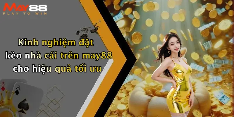 Kinh nghiệm đặt kèo nhà cái trên may88 cho hiệu quả tối ưu