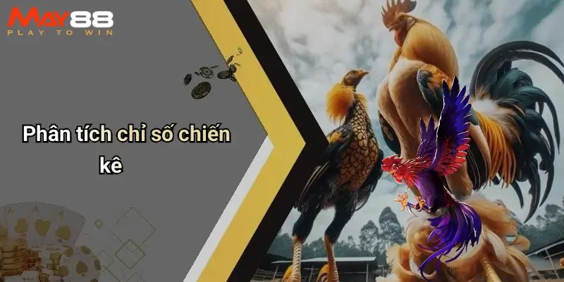 Phân tích chỉ số chiến kê