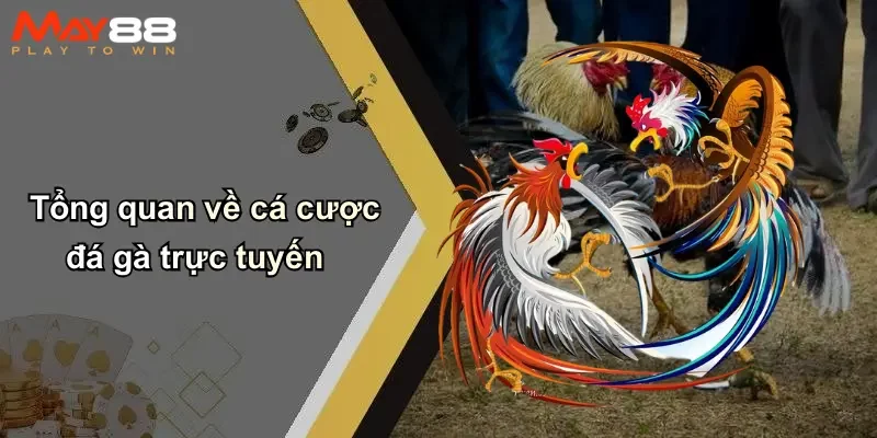 Tổng quan về cá cược đá gà trực tuyến
